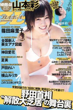 撕掉她的衣服吮的双乳游戏